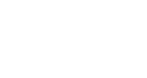 The Village Voice logo