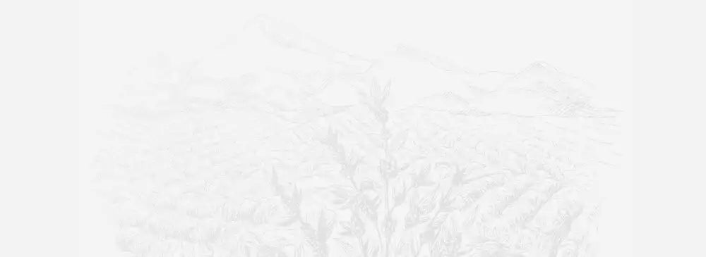 template--19834308362481__section_hero_banner_mtwkJn463