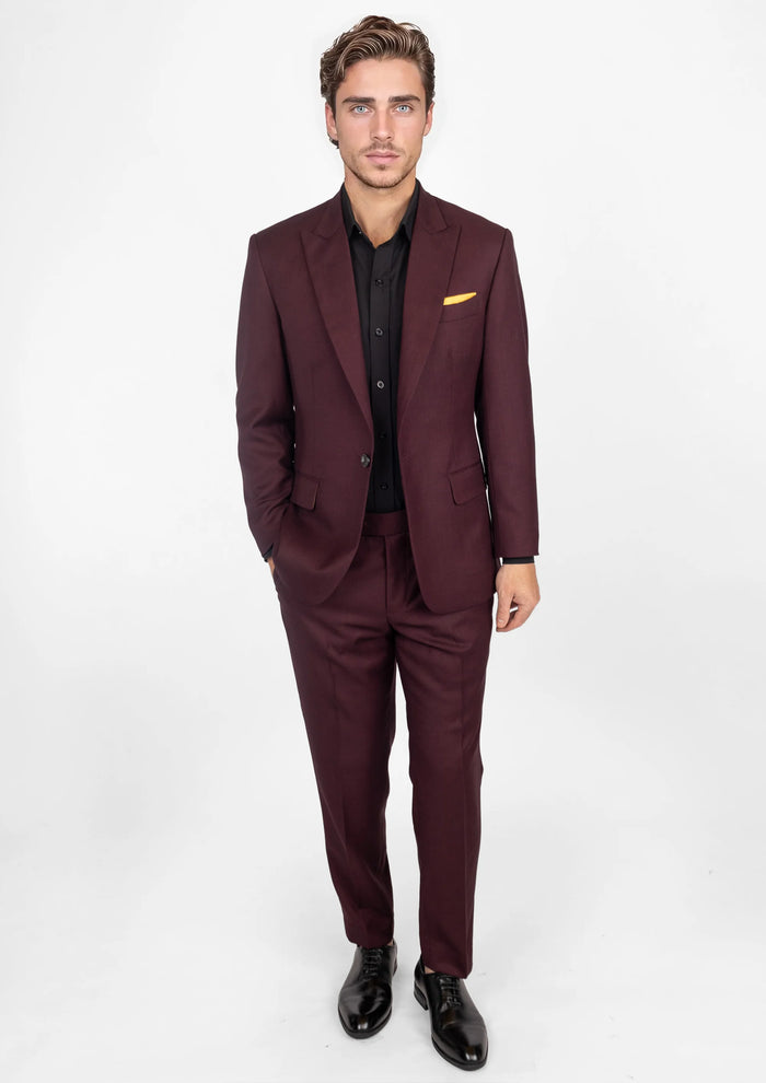 Deep Burgundy Birdseye Suit170
