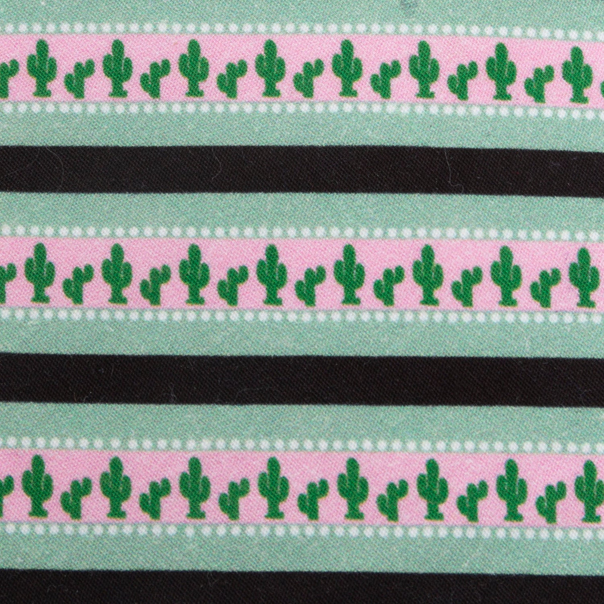 Texas Cactus Stripe Sage Men's Tie87