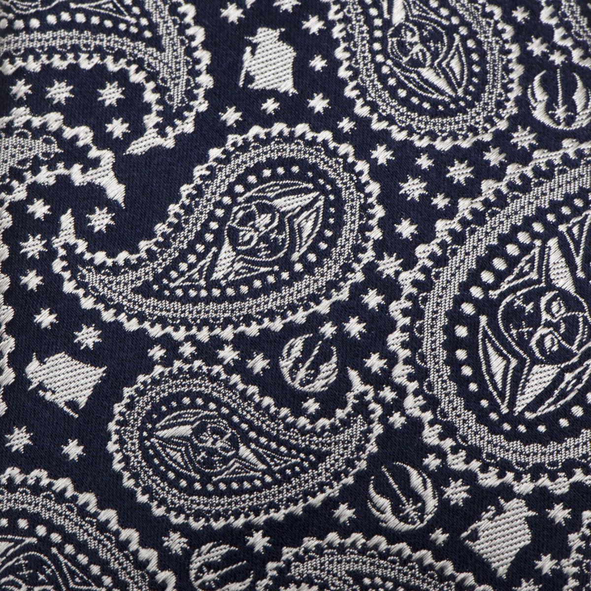 Star Wars Yoda Navy Paisley Tie549