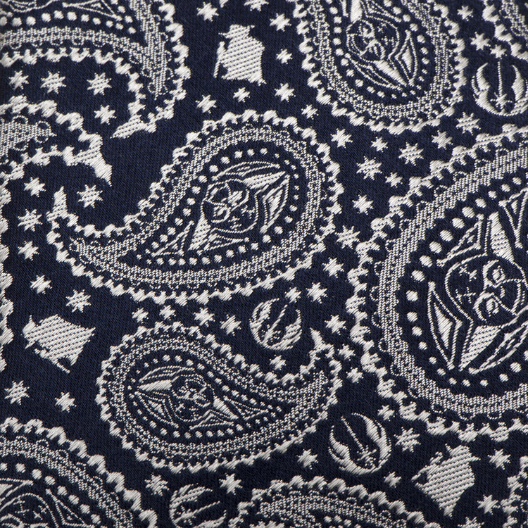Star Wars Yoda Navy Paisley Tie123