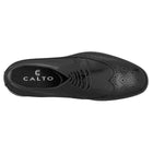 CALTO - S27001 - 3251
