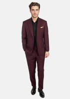 Deep Burgundy Birdseye Suit - SARTORO556