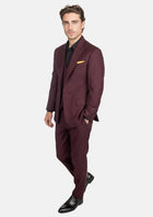 Deep Burgundy Birdseye Suit - SARTORO440