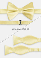 Gold Tie - SARTORO32