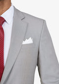 Harbor Grey Sharkskin Suit - English Party - SARTORO