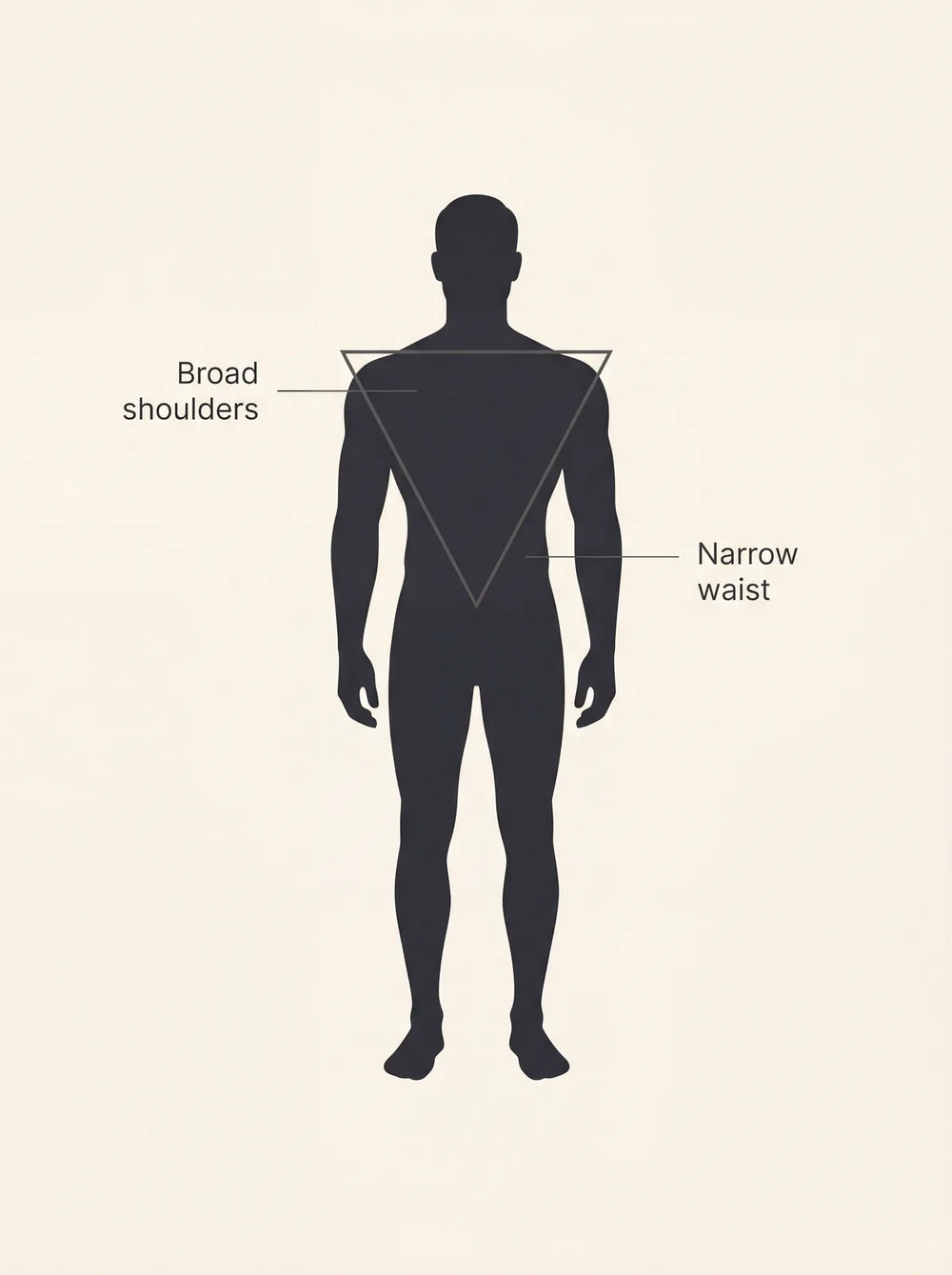 Inverted triangle male body shape: broad shoulders tapering to a narrow waist