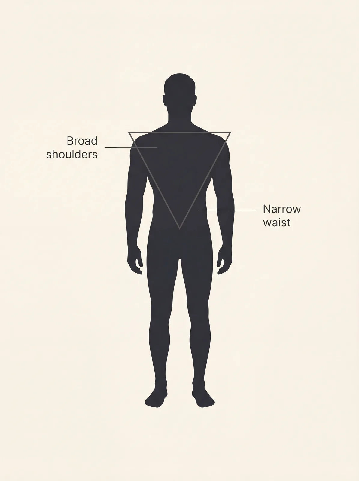 Inverted triangle male body shape: broad shoulders tapering to a narrow waist