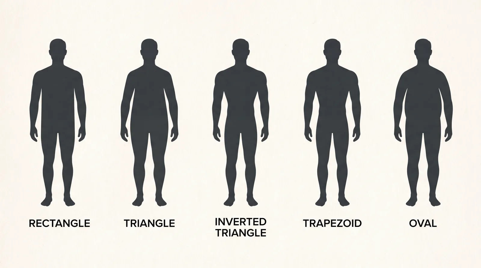 The five male body shapes: rectangle, triangle, inverted triangle, trapezoid, and oval