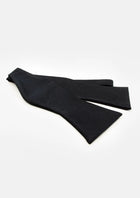 Matching Bowtie & Pocket Square - SARTORO608