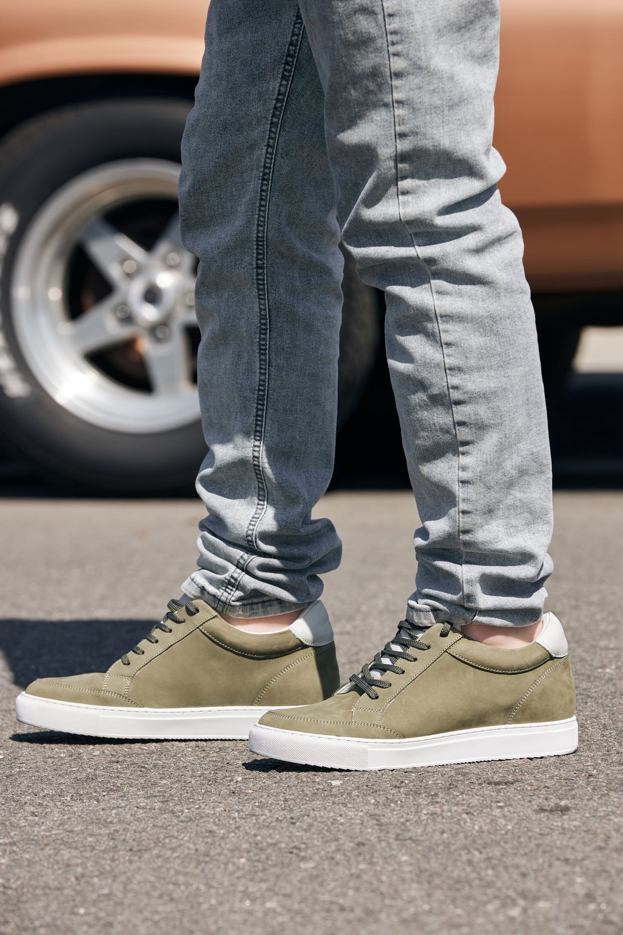 Olive CALTO - 2420