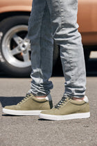 Olive CALTO - 2146