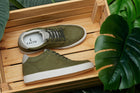 Olive CALTO - 2716