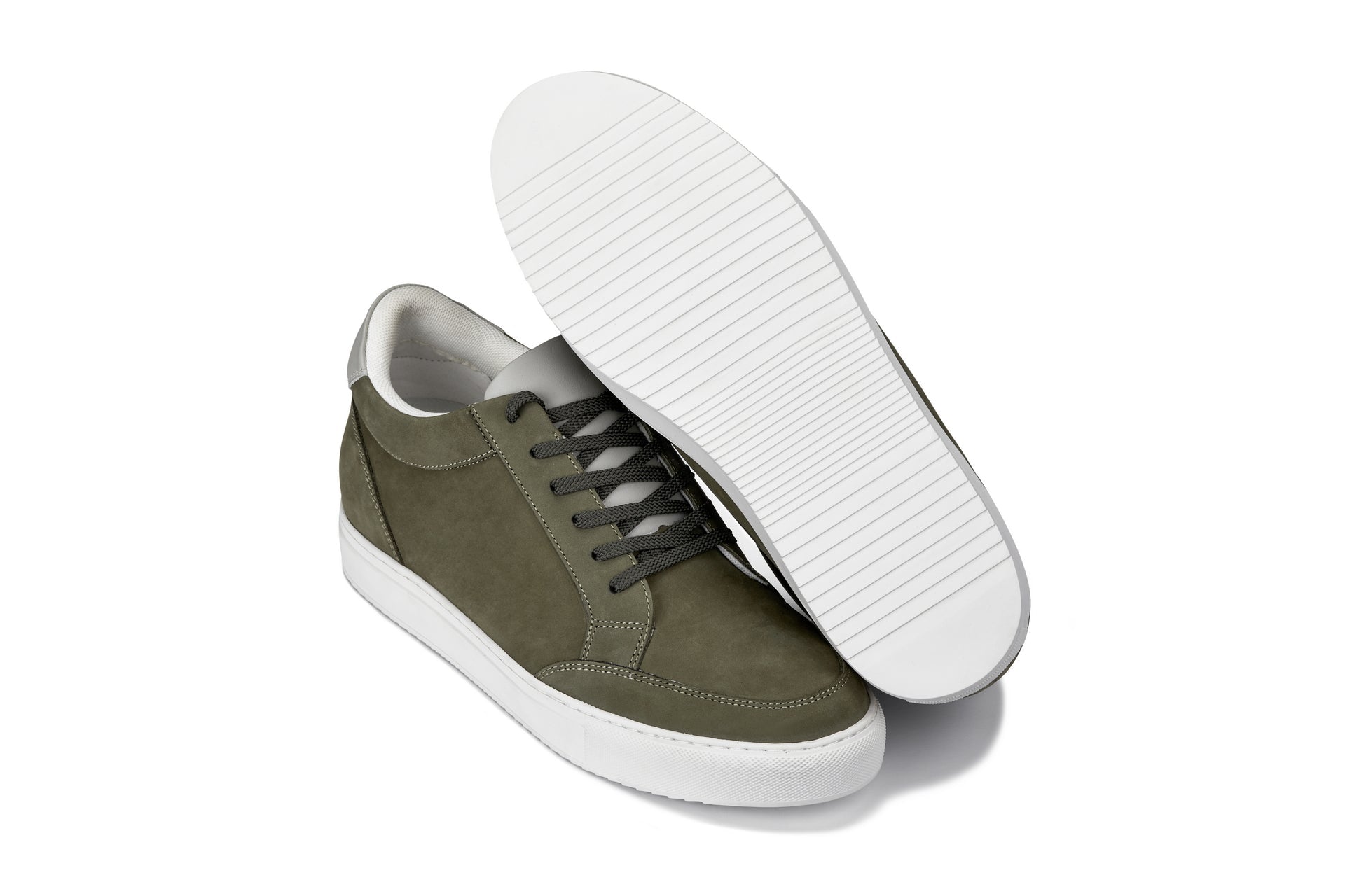 Olive CALTO - 2308