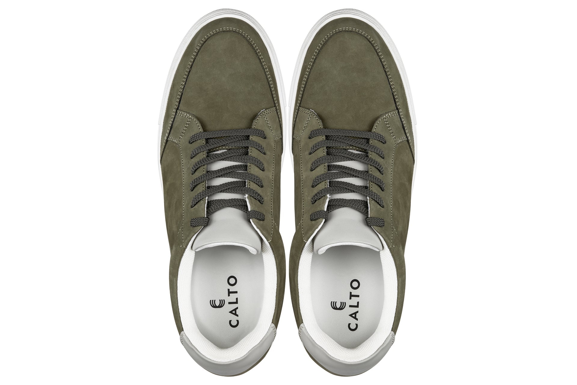 Olive CALTO - 2351