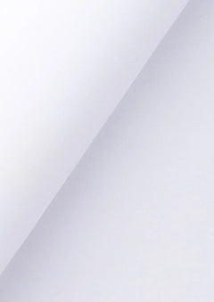 White Egyptian Cotton Broadcloth
