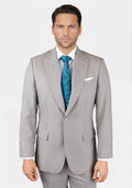 Thompson Harbor Grey Sharkskin Suit - SARTORO