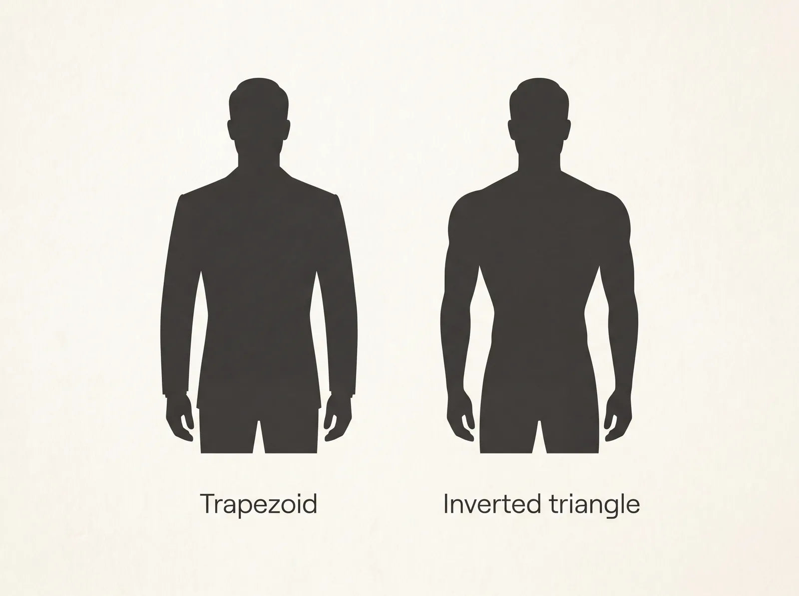 Trapezoid compared with inverted triangle: a moderate taper versus a sharper shoulder-to-waist drop