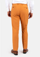 Baby Mustard Stretch Pants - SARTORO650